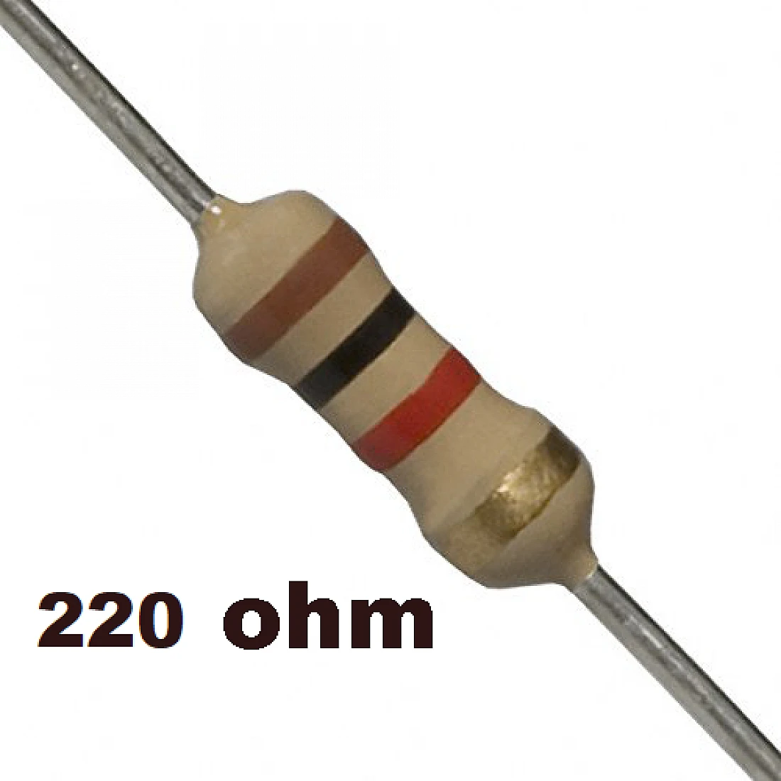 220 ohm Resistor